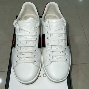 Gucci Ace Sneaker 36.5 U.S